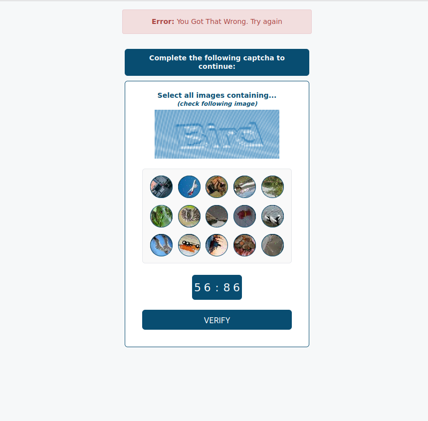 Step 1: Solve CAPTCHA